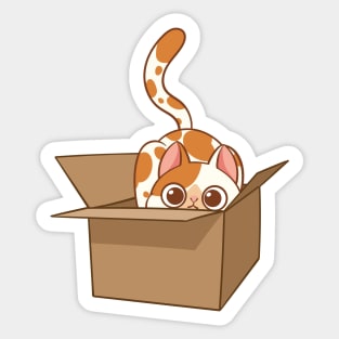 Cat in the box Sticker